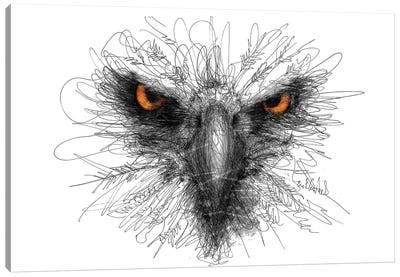 Eagle Look Canvas Art Print - Erick Centeno
