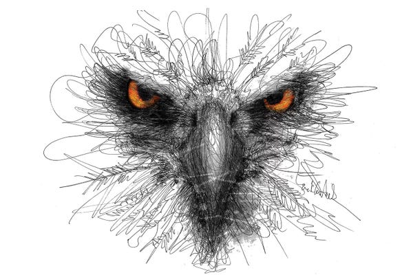 Eagle Look