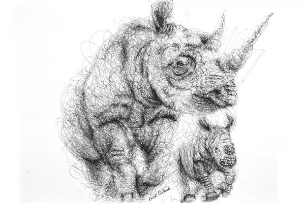 Rhinoceroses: Motherhood by Erick Centeno