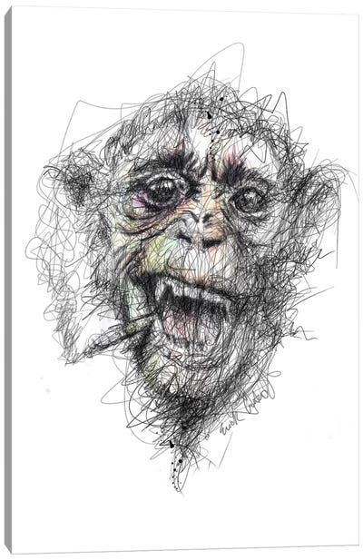 Smoke Canvas Art Print - Primate Art