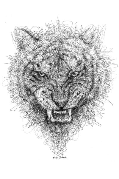 Tiger Look by Erick Centeno canvas print