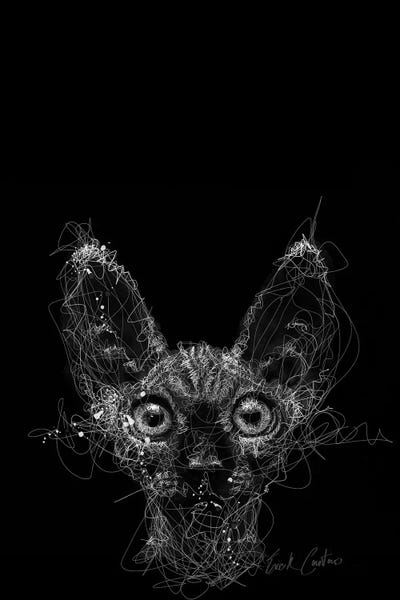 Hairless Cats: Cat Night by Erick Centeno