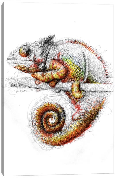 Chameleon Canvas Art Print - Lizard Art