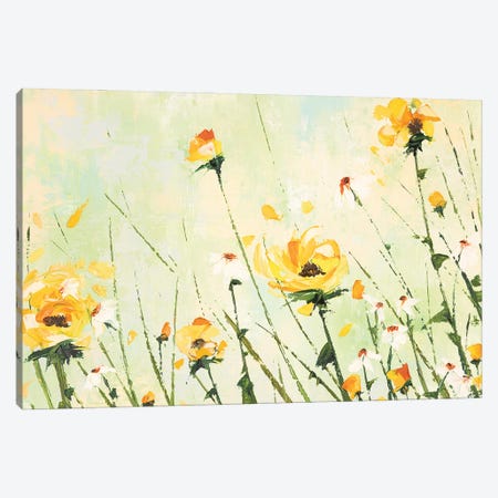 Chrysanthemum and Daisy Field Canvas Print #ECG3} by Emma Coghlan Art Print