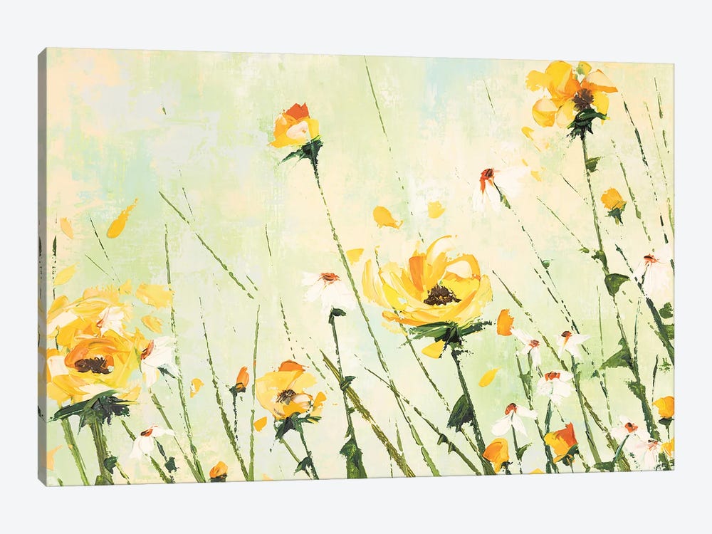 Chrysanthemum and Daisy Field by Emma Coghlan 1-piece Canvas Print