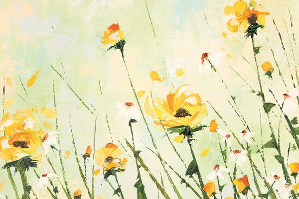 Chrysanthemums: Chrysanthemum and Daisy Field by Emma Coghlan