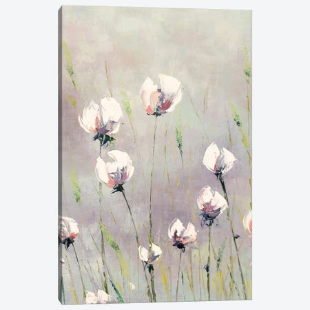 White Tulips Canvas Print #ECG4} by Emma Coghlan Canvas Art