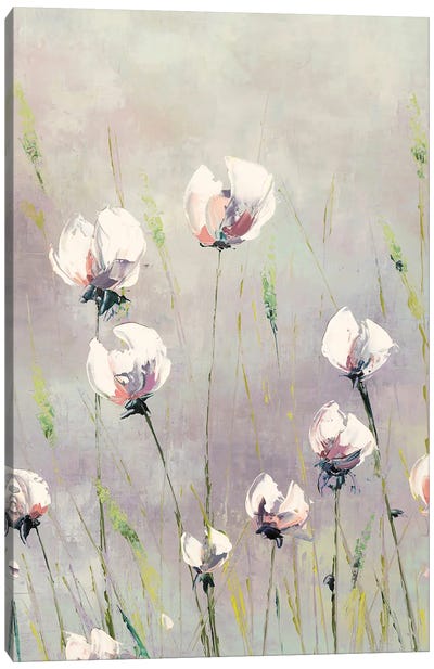White Tulips Canvas Art Print