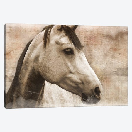 Horse Canvas Print #ECK271} by Erin Clark Canvas Art