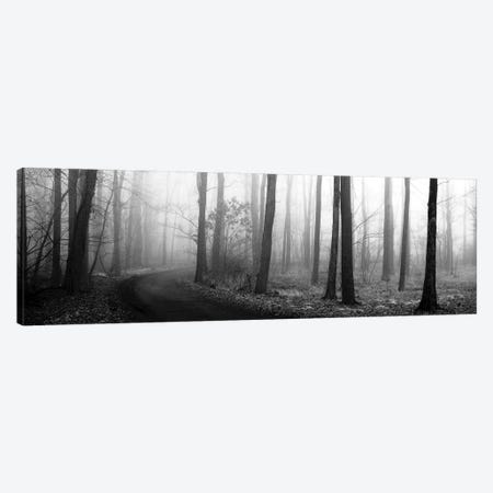 Forest Path Canvas Print #ECK60} by Erin Clark Canvas Wall Art
