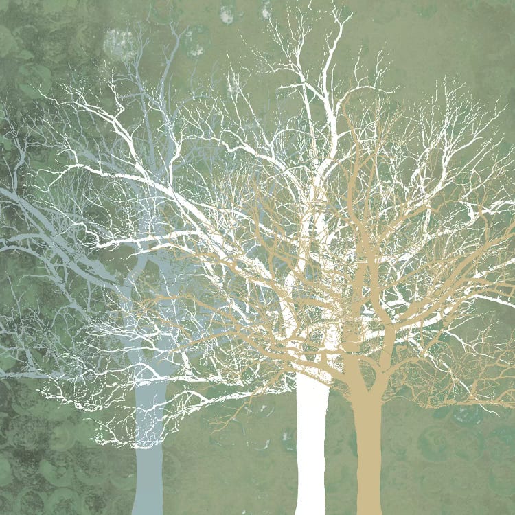 Quiet Forest by Erin Clark wall art