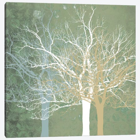 Quiet Forest Canvas Print #ECK81} by Erin Clark Canvas Wall Art