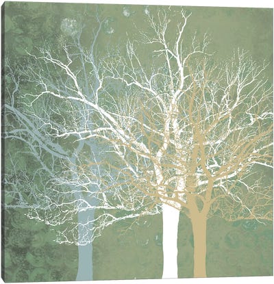 Quiet Forest Canvas Art Print - Minimalist Nature