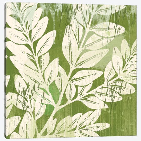 Sage Foliage Canvas Print #ECK82} by Erin Clark Canvas Wall Art