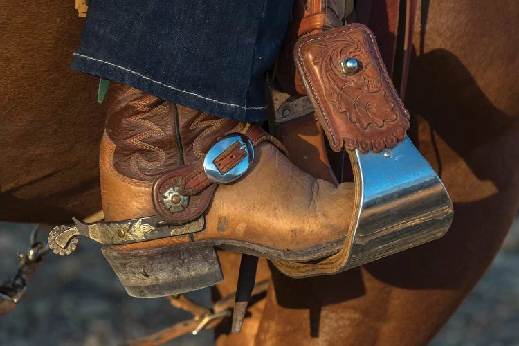 USA, California, Parkfield, V6 Ranch cowgirl boot in stirrup 