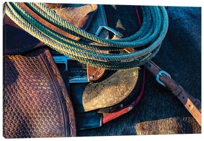 USA, California, Parkfield, V6 Ranch detail of a saddle and lasso Canvas Art Print - Western Décor