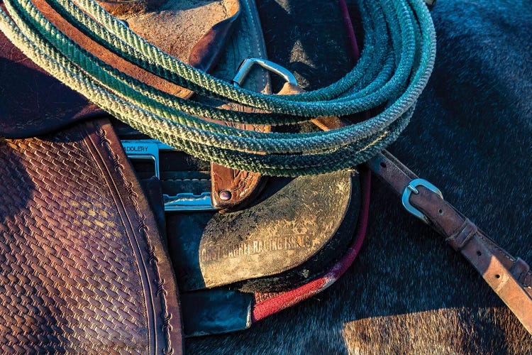 USA, California, Parkfield, V6 Ranch detail of a saddle and lasso