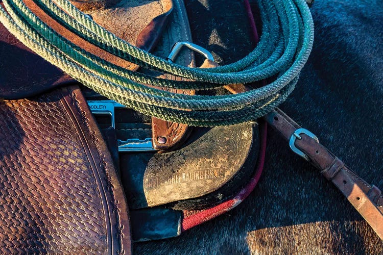 USA, California, Parkfield, V6 Ranch detail of a saddle and lasso by Ellen Clark wall art