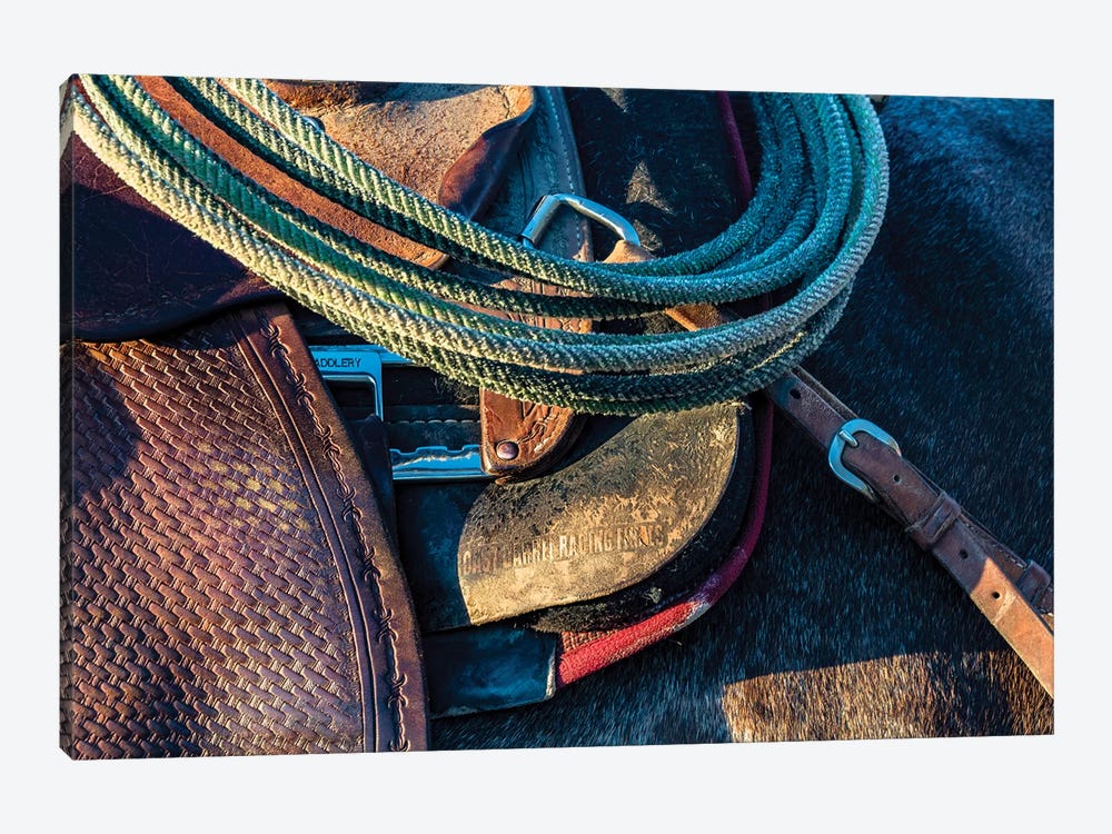 USA, California, Parkfield, V6 Ranch detail of a saddle and lasso by Ellen Clark 1-piece Canvas Art