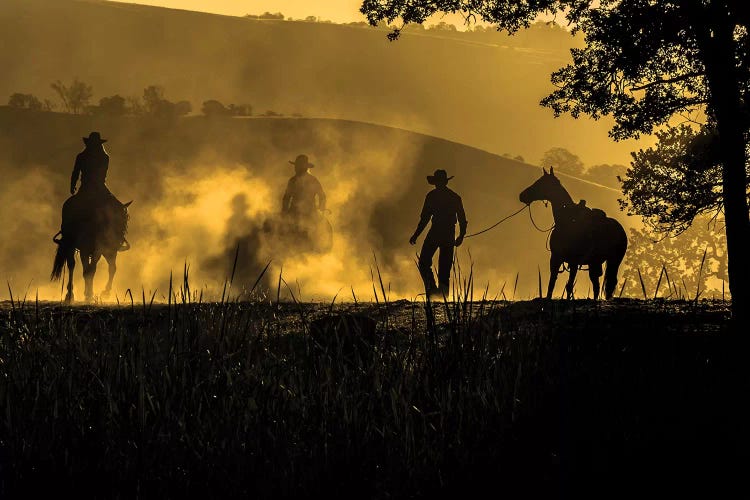 USA, California, Parkfield, V6 Ranch silhouette of riders, on horseback. Early dusty morning. 