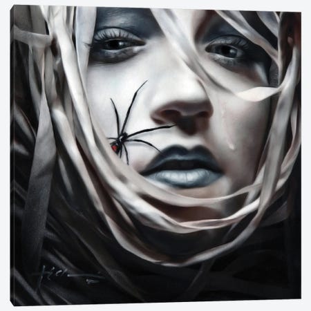 Black Widow Canvas Print #ECV10} by Jeff Echevarria Canvas Wall Art