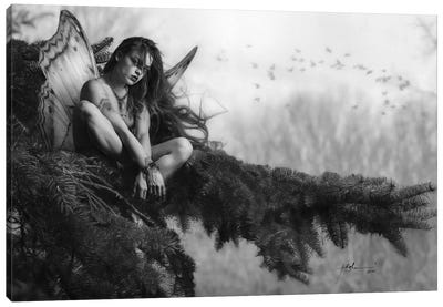 Butterfly Of The Barrens Canvas Art Print - Hyper-Realistic & Detailed Drawings