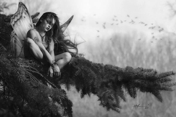 Wild Spirit: Butterfly Of The Barrens by Jeff Echevarria