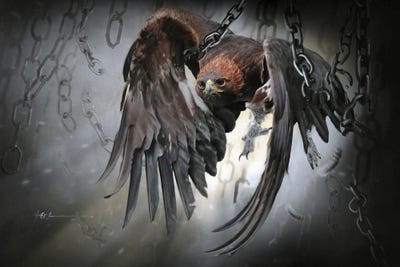 Freedom by Jeff Echevarria framed canvas print