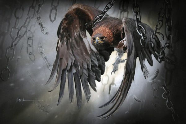 Black & White Drawings & Illustrations: Freedom by Jeff Echevarria