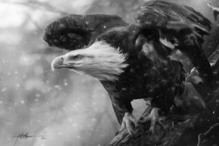 Freedoms Fury by Jeff Echevarria wall art