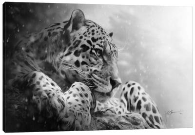 Ghost Of The Mountains Canvas Art Print - Leopard Art