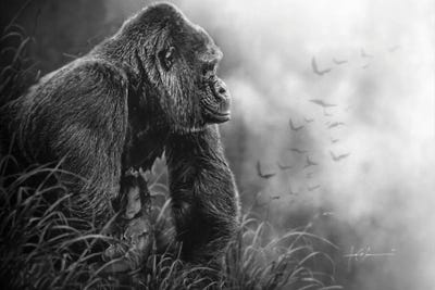 Lily St. Cloud by Jeff Echevarria framed wall art