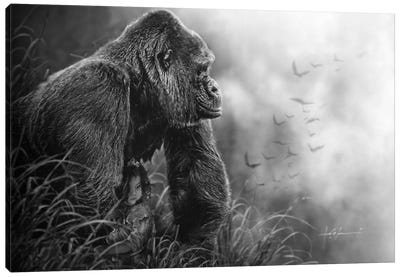 Lily St. Cloud Canvas Art Print - Gorilla Art