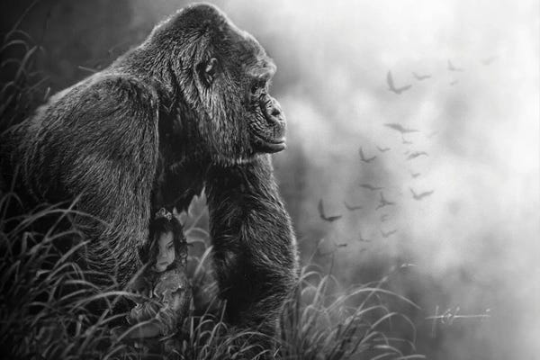 Gorillas: Lily St. Cloud by Jeff Echevarria