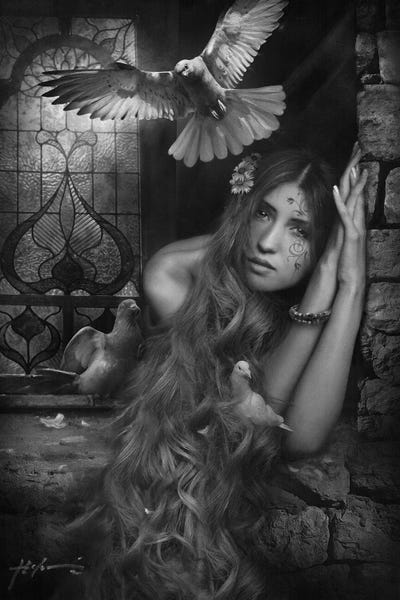 Doves & Pigeons: Rapunzel by Jeff Echevarria