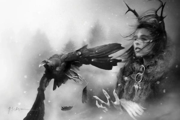 Witches: Seek by Jeff Echevarria