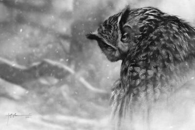 Ghost Of Bull Hill by Jeff Echevarria canvas print