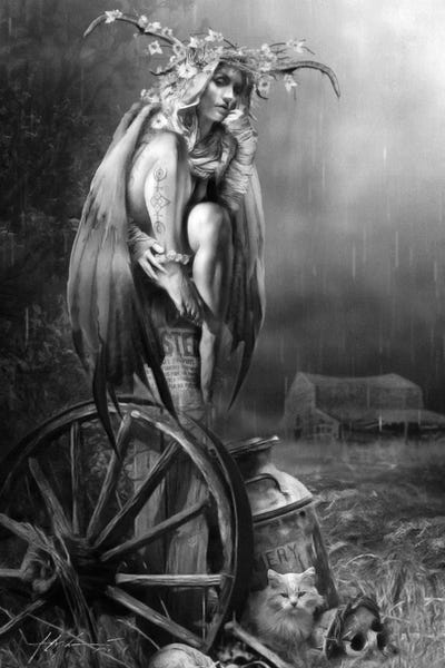 Witches: The Witch Of Westbrook Farm by Jeff Echevarria