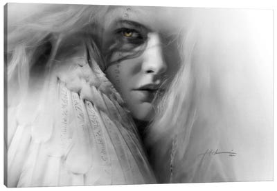 White Feather Canvas Art Print - Jeff Echevarria