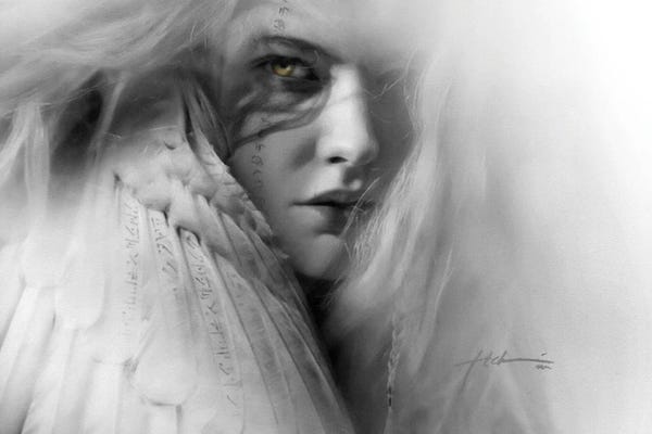 Feathers: White Feather by Jeff Echevarria