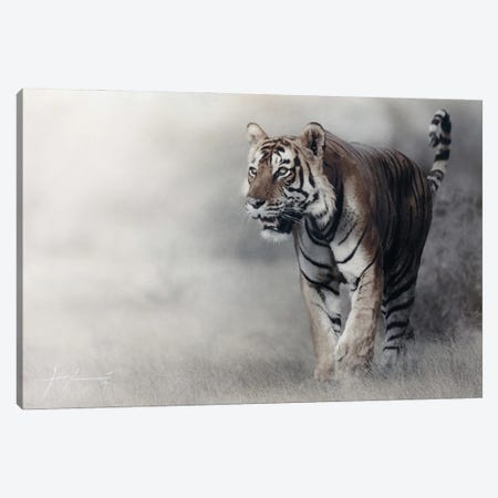 Tiger Canvas Print #ECV48} by Jeff Echevarria Art Print