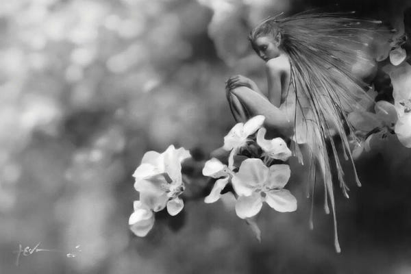 Fairies: Apple Blossom by Jeff Echevarria