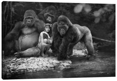 Beauty Among The Beasts Canvas Art Print - Gorillas