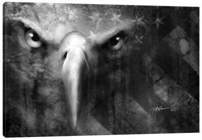 Because Of The Brave Canvas Art Print - Eagle Art