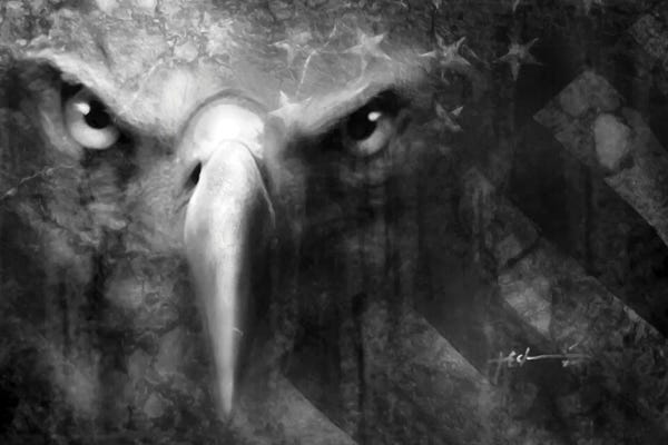 American Flags: Because Of The Brave by Jeff Echevarria