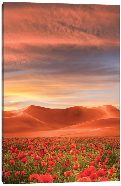 Flower Desert Canvas Art Print - Edurne Andono