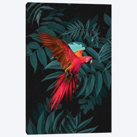 Pink Parrot Canvas Print #EDA22} by Edurne Andoño Canvas Print