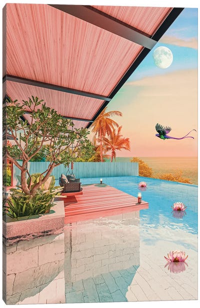 Quetzal By The Pool Canvas Art Print - Dreamer