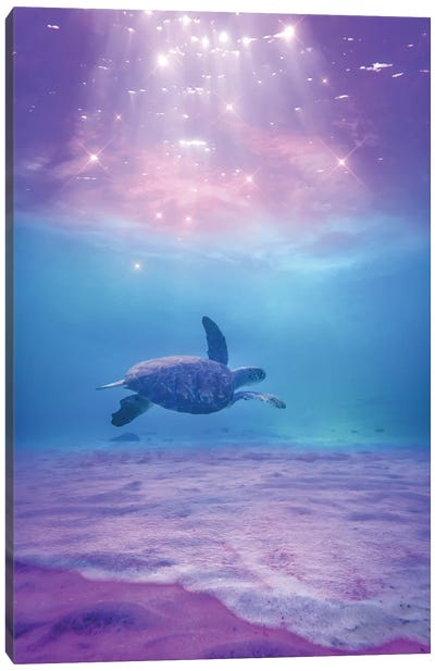 Turtle Paradise Canvas Art Print - Turtle Art