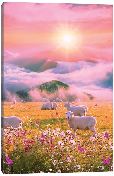 Sheep Paradise Canvas Art Print - Edurne Andono